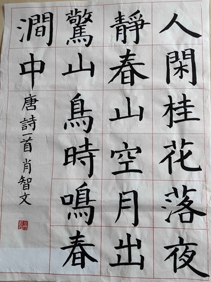 肖智文