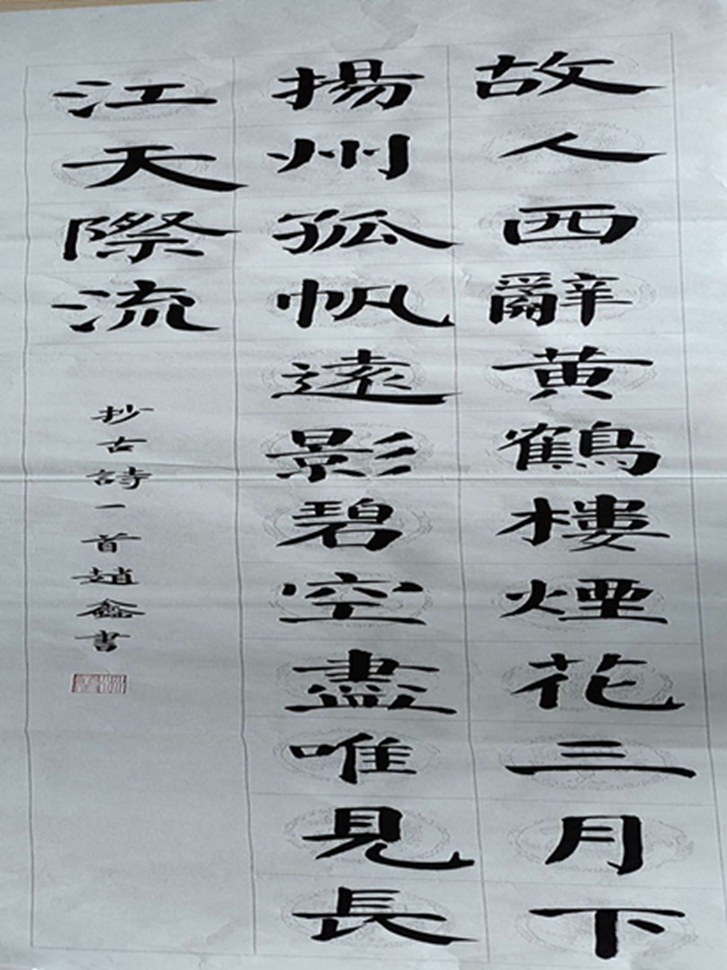 赵鑫