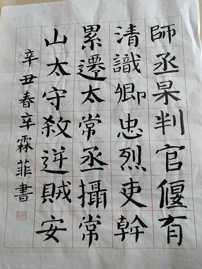 辛霖菲