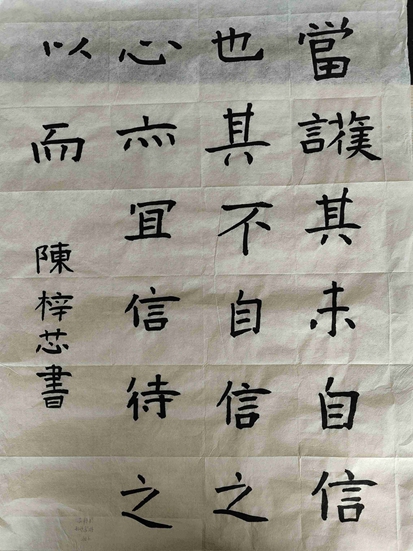 陈梓芯