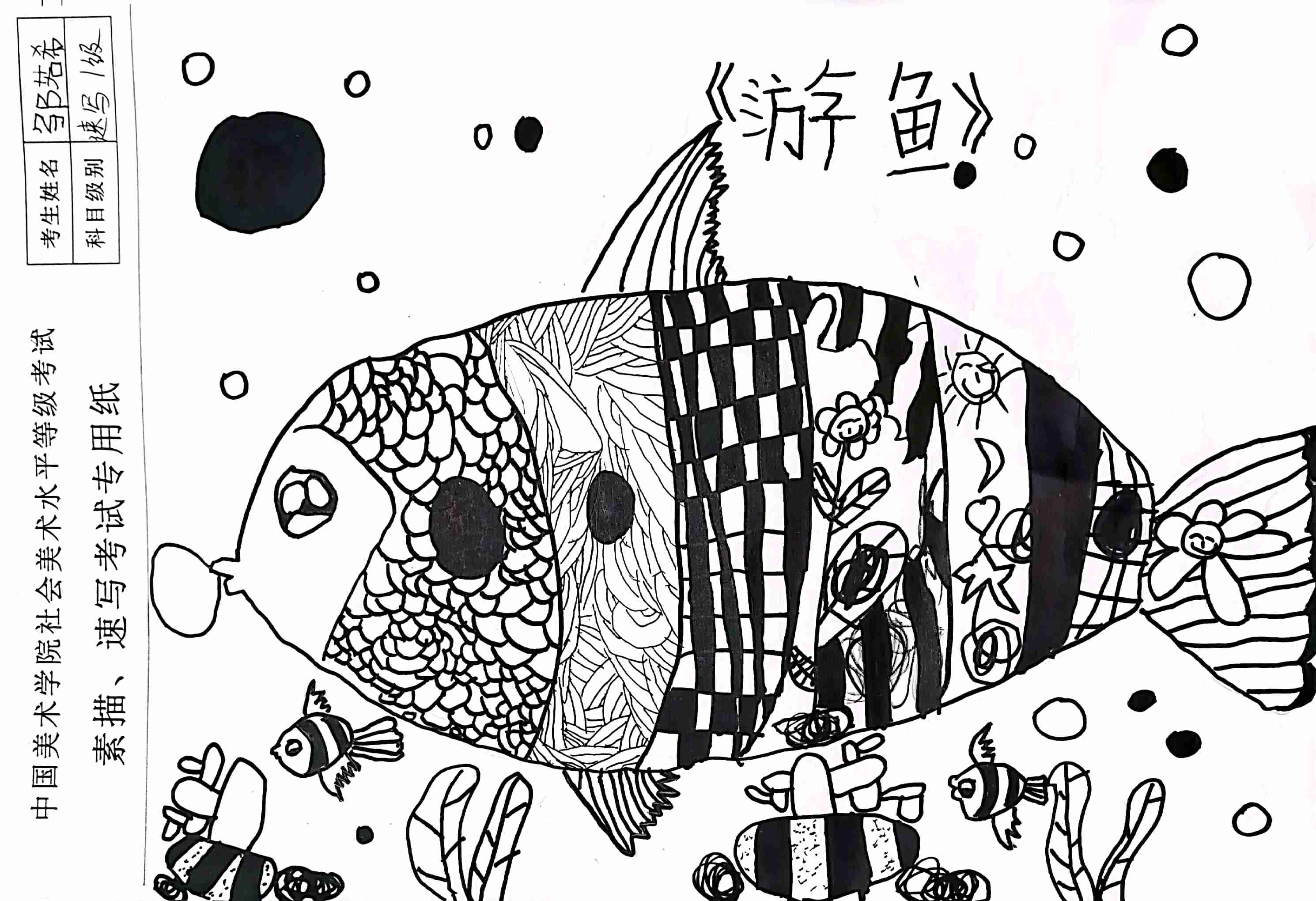 邹若希