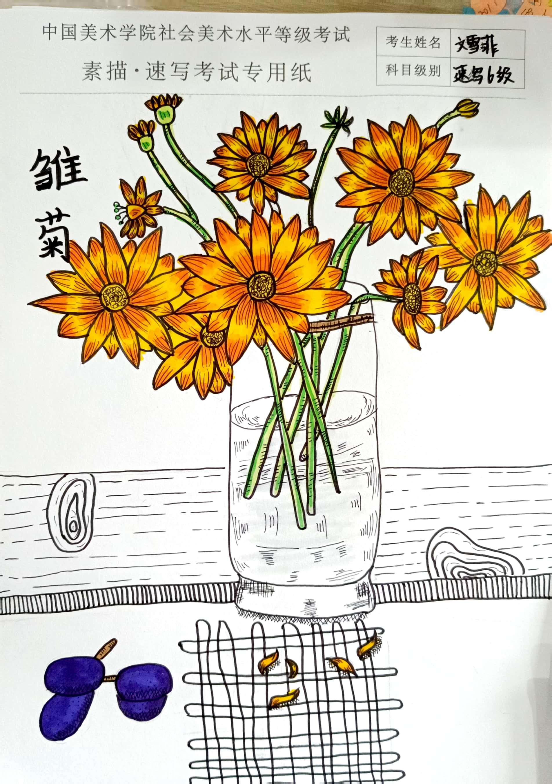 文雪菲