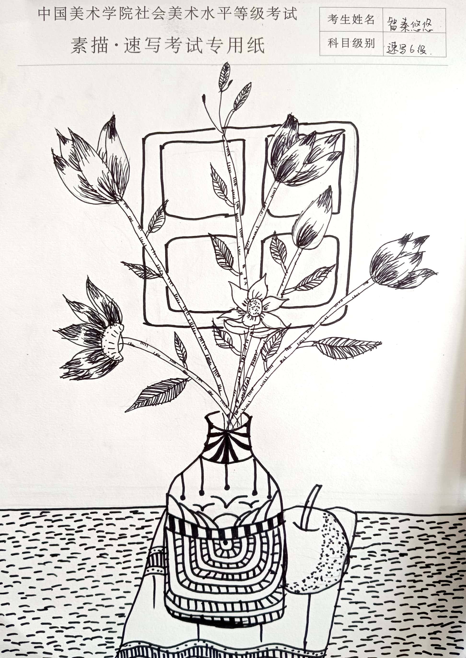 智秦悠悠