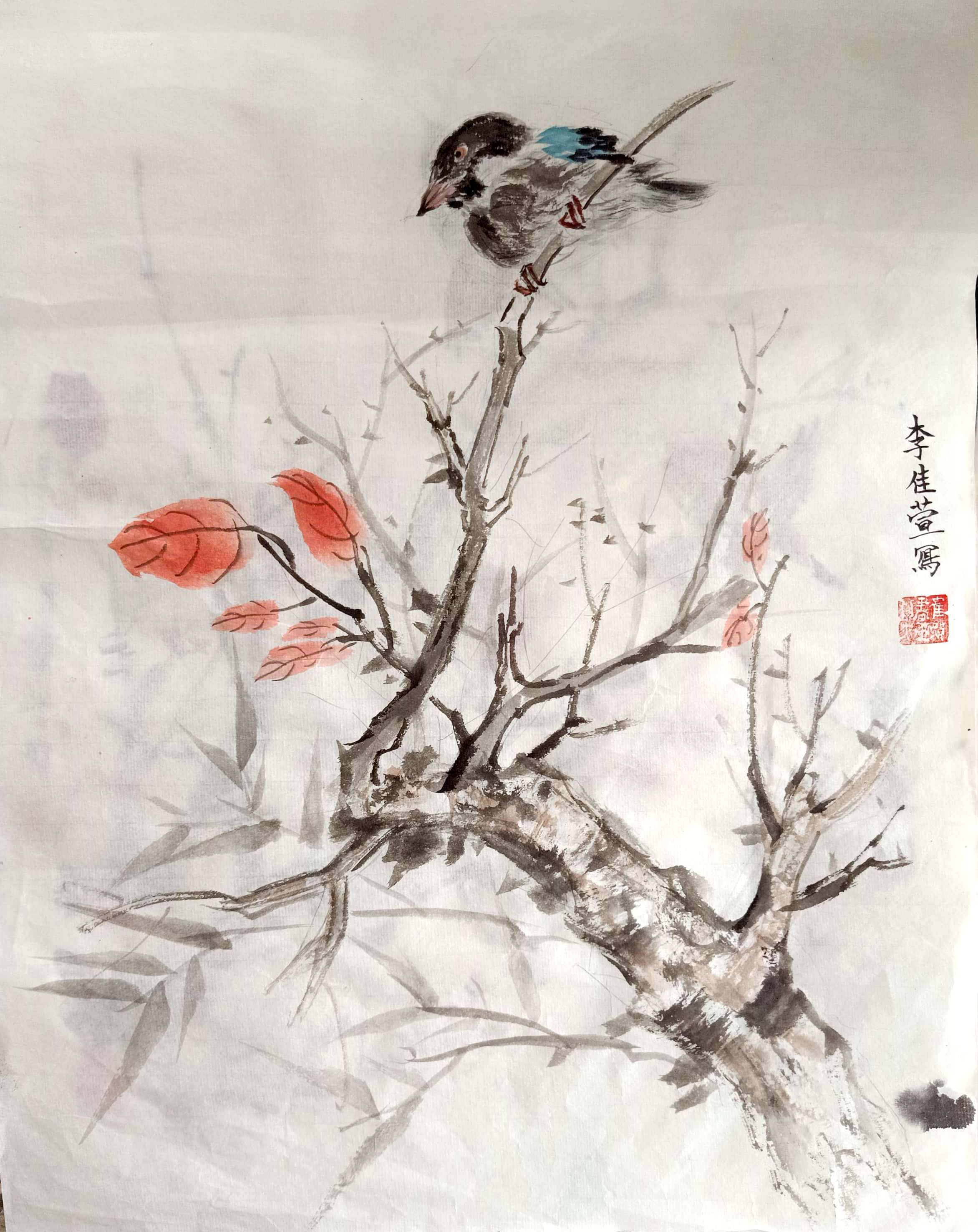 李佳萱