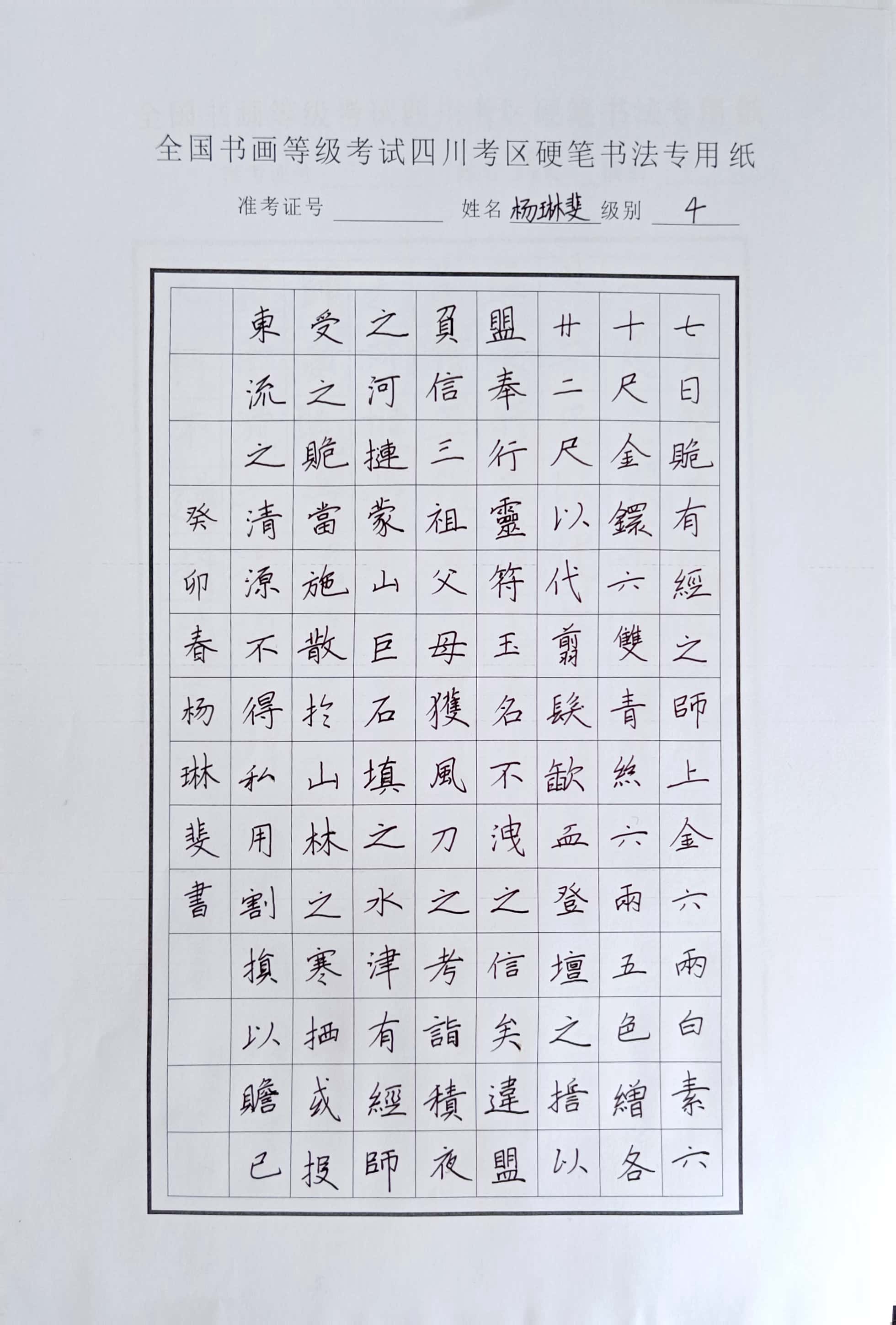 杨琳斐