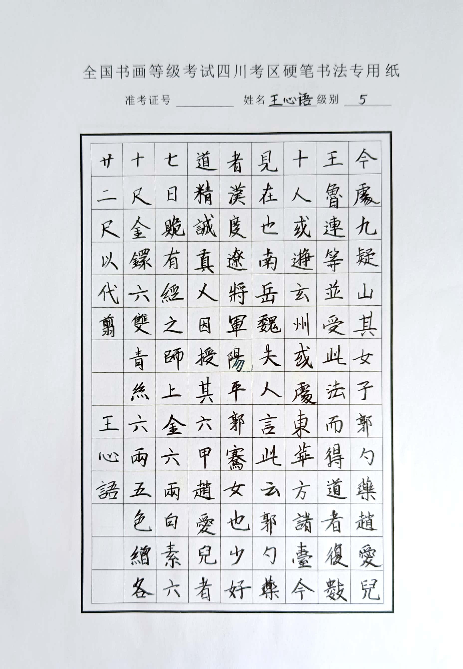 王心语