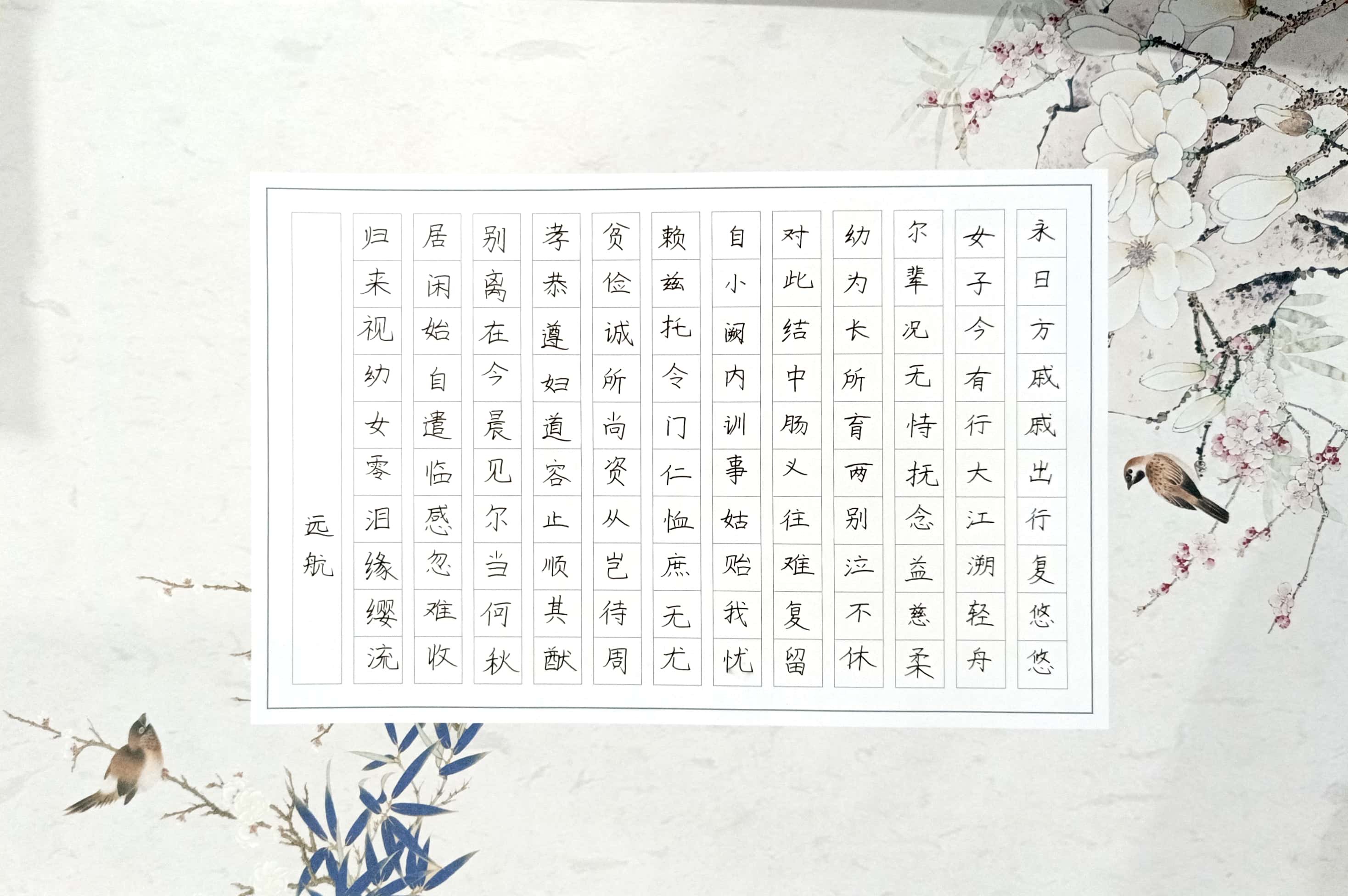王远航