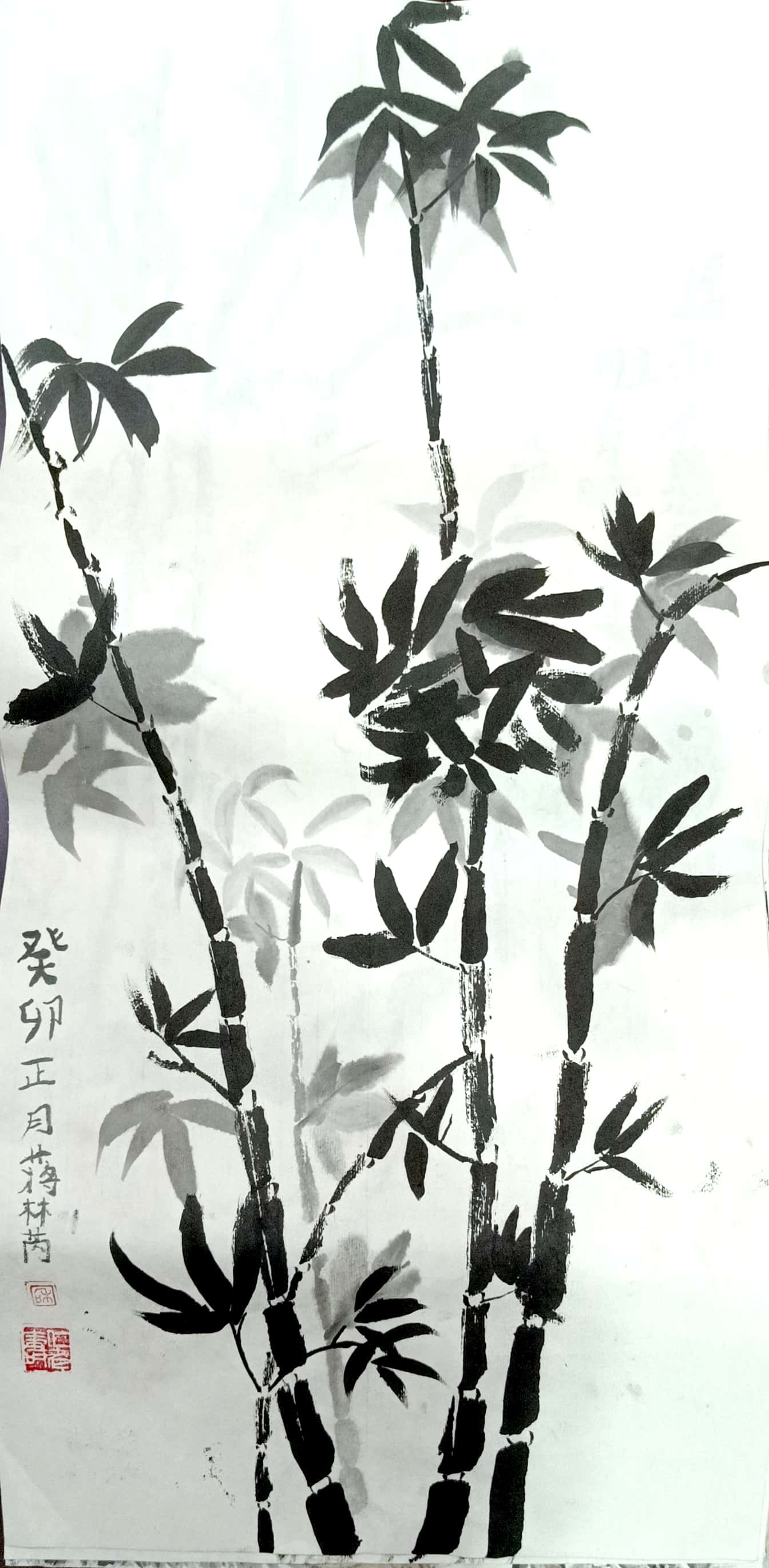 蒋林芮