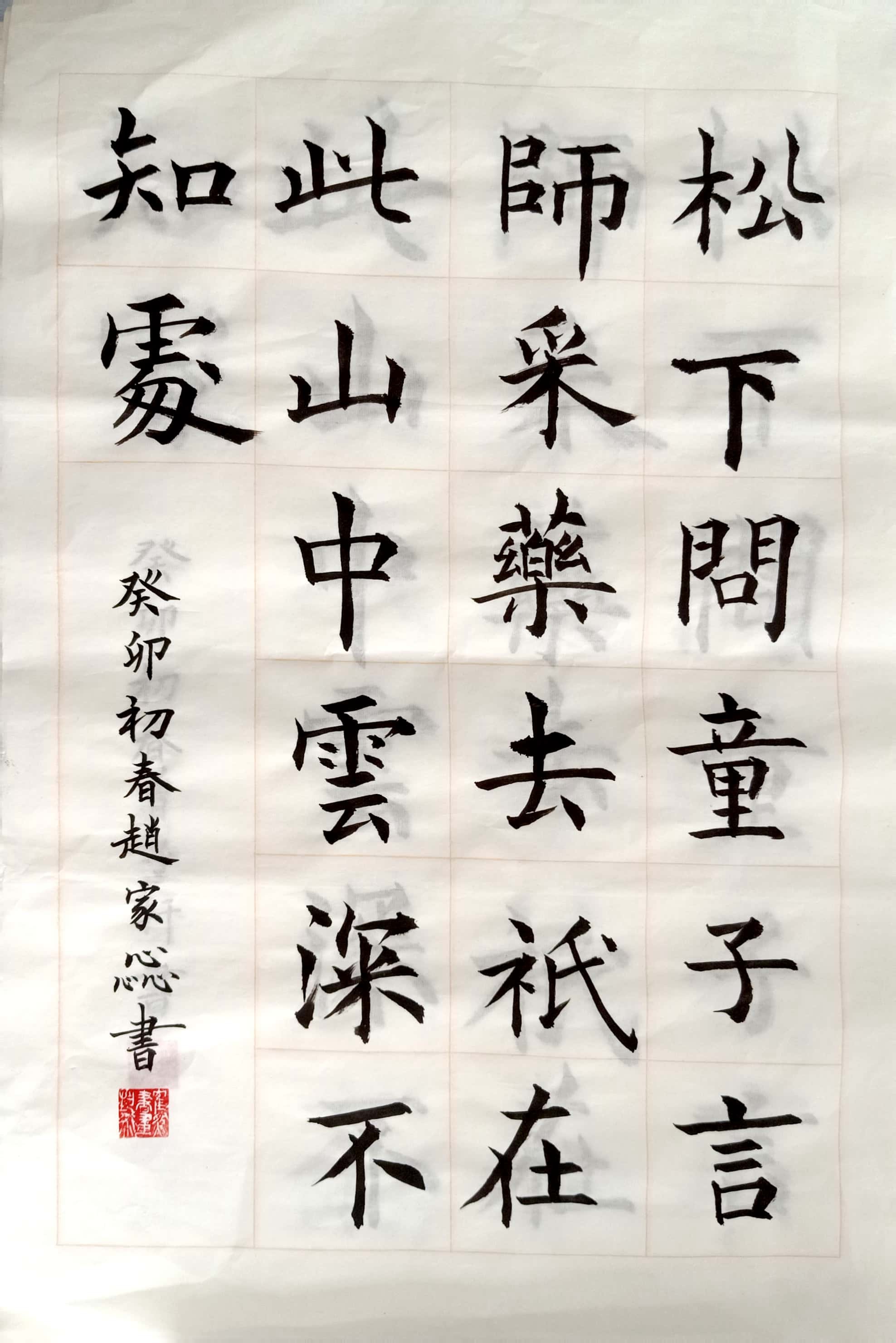 赵家惢