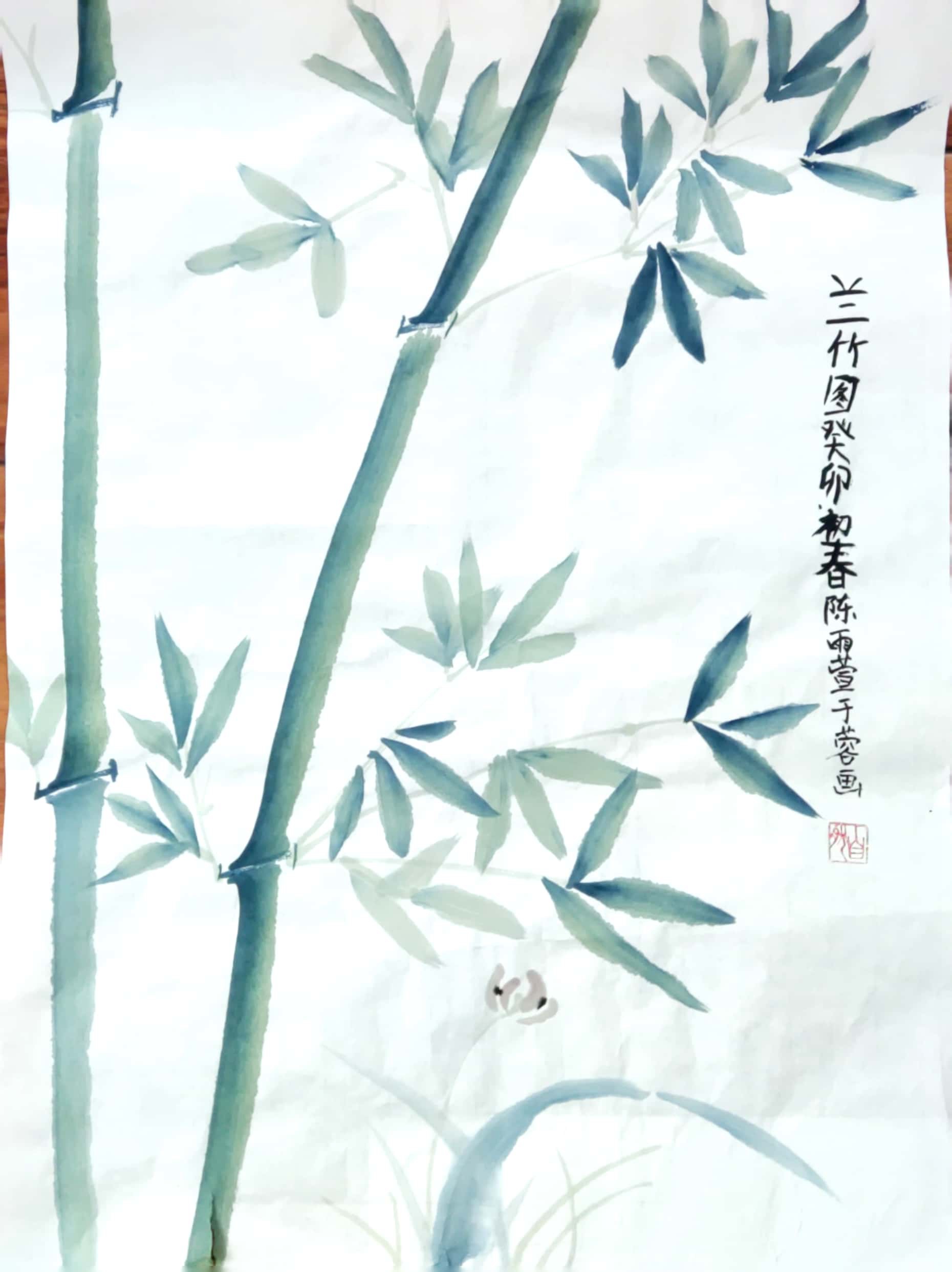 陈雨萱