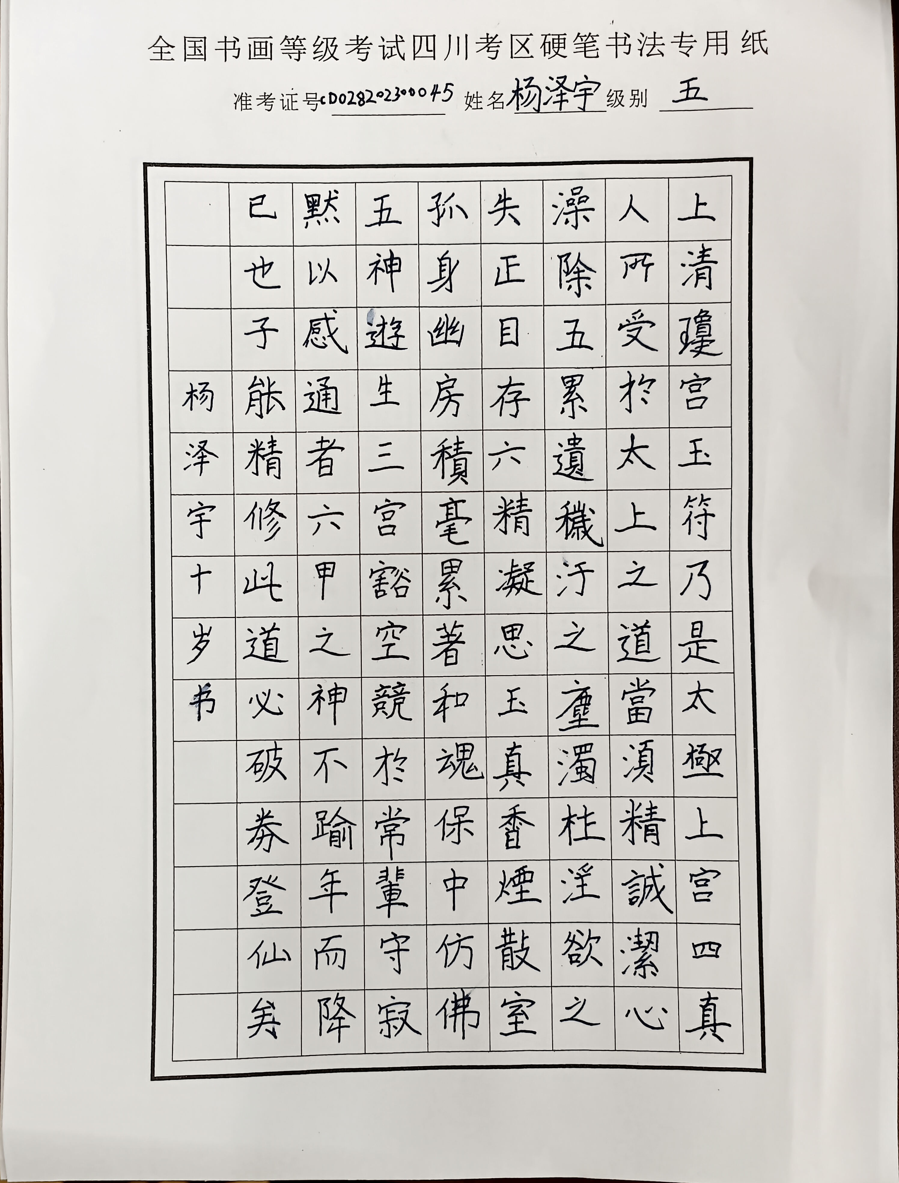 杨泽宇