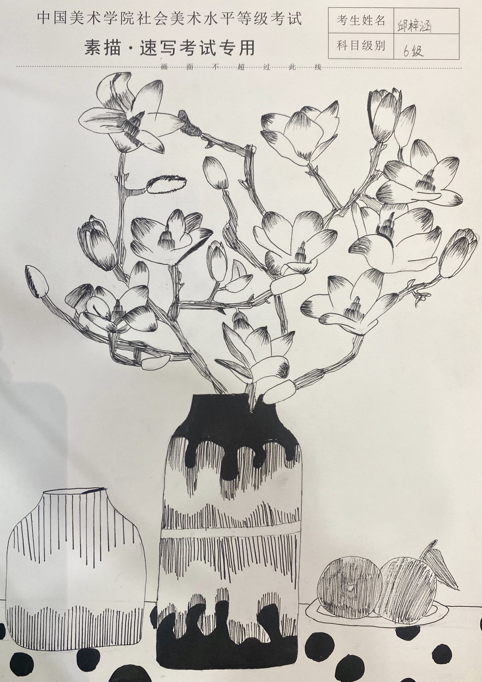 邱梓涵