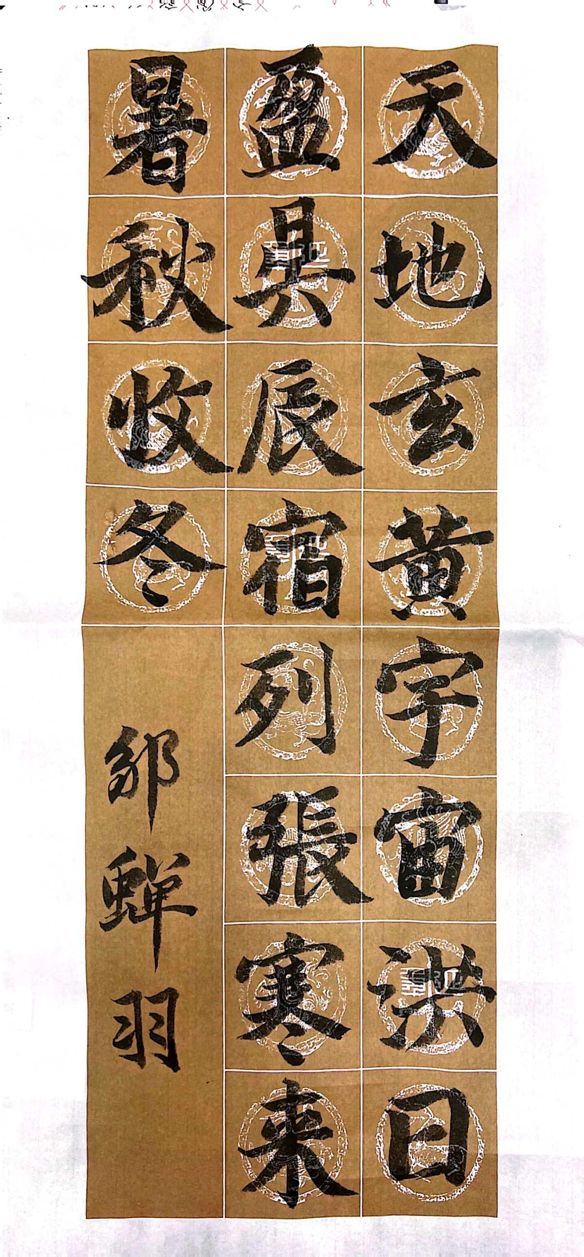 邹蝉羽