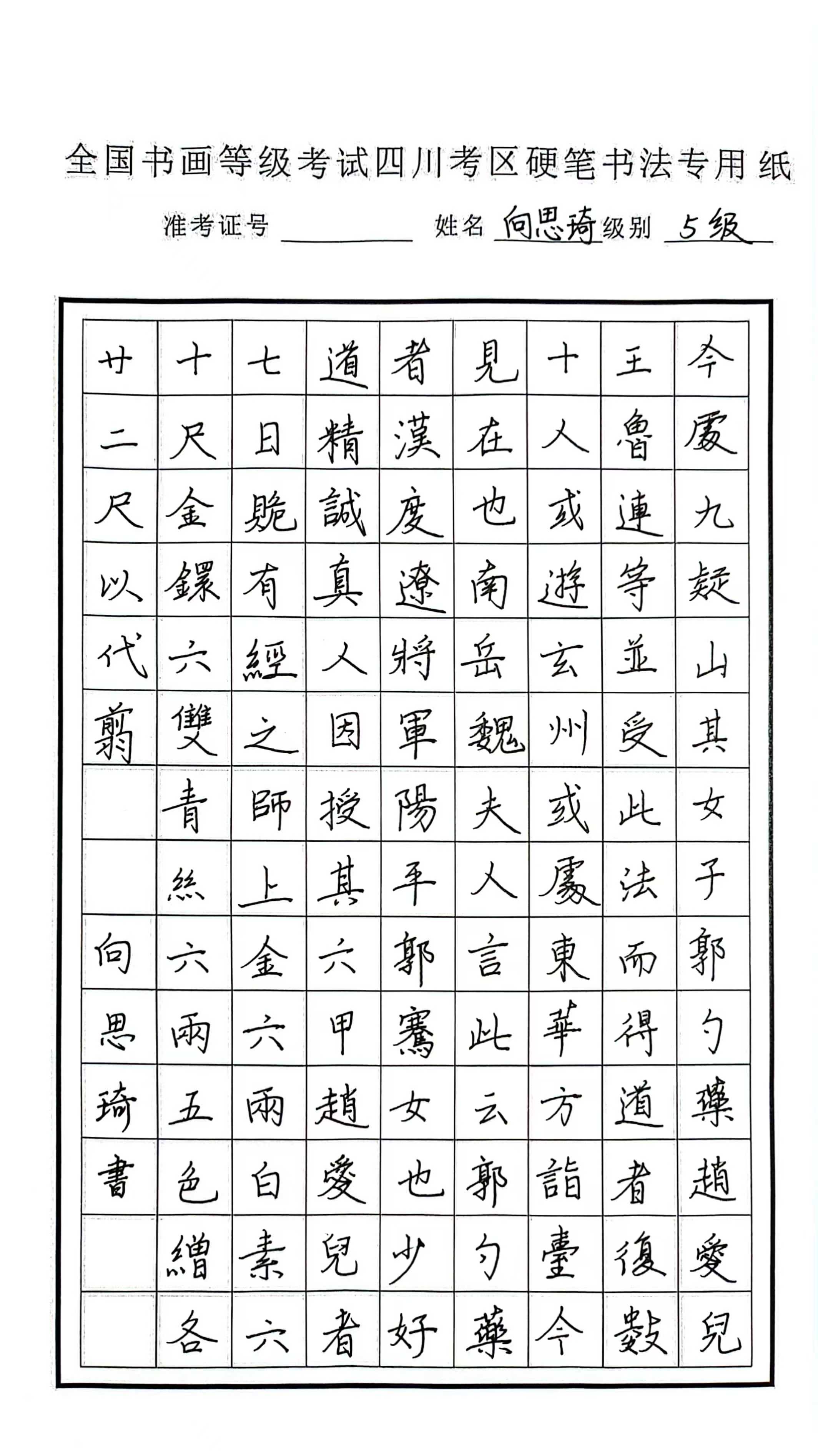 向思琦