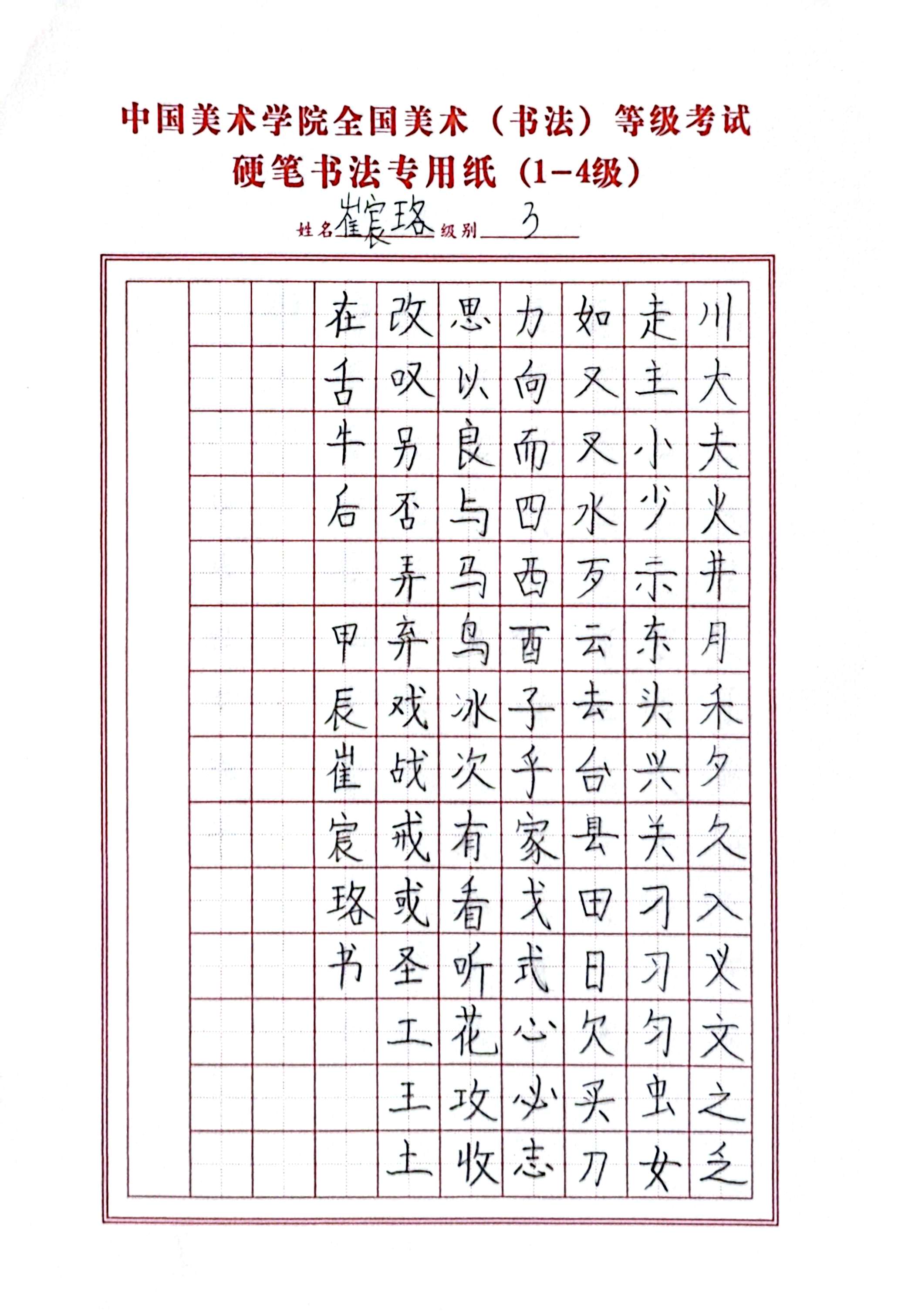 崔宸珞