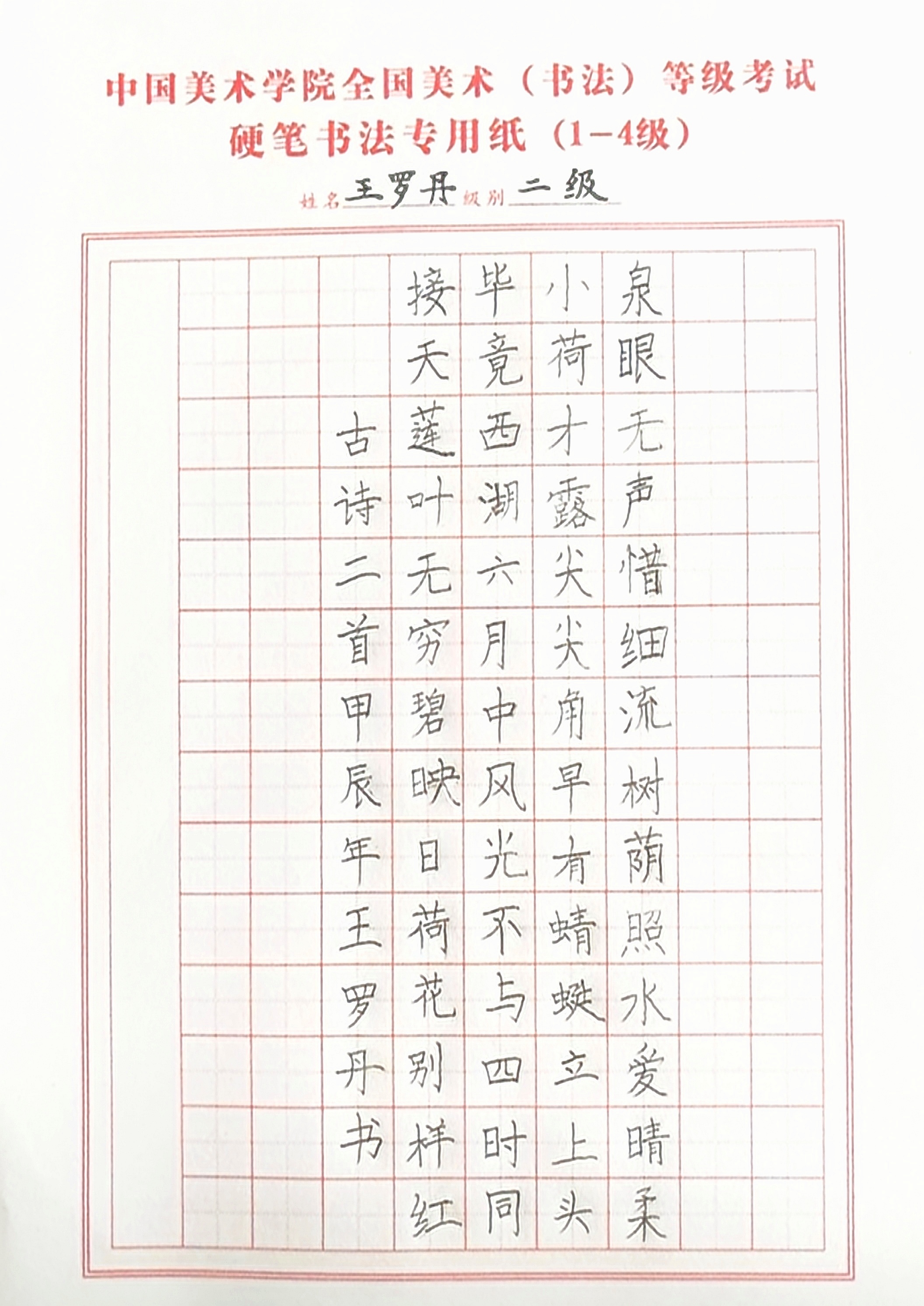 王罗丹