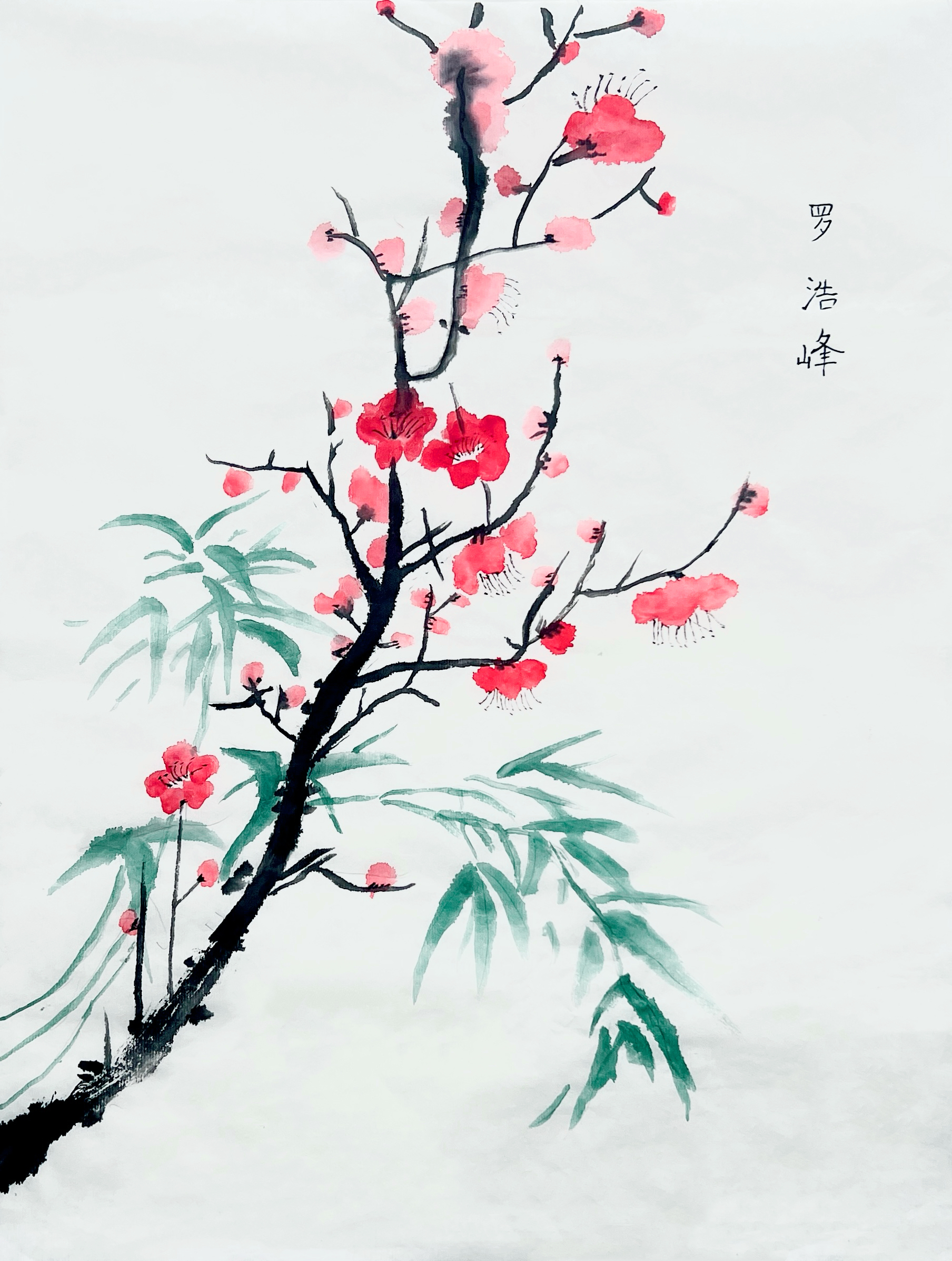 罗浩峰
