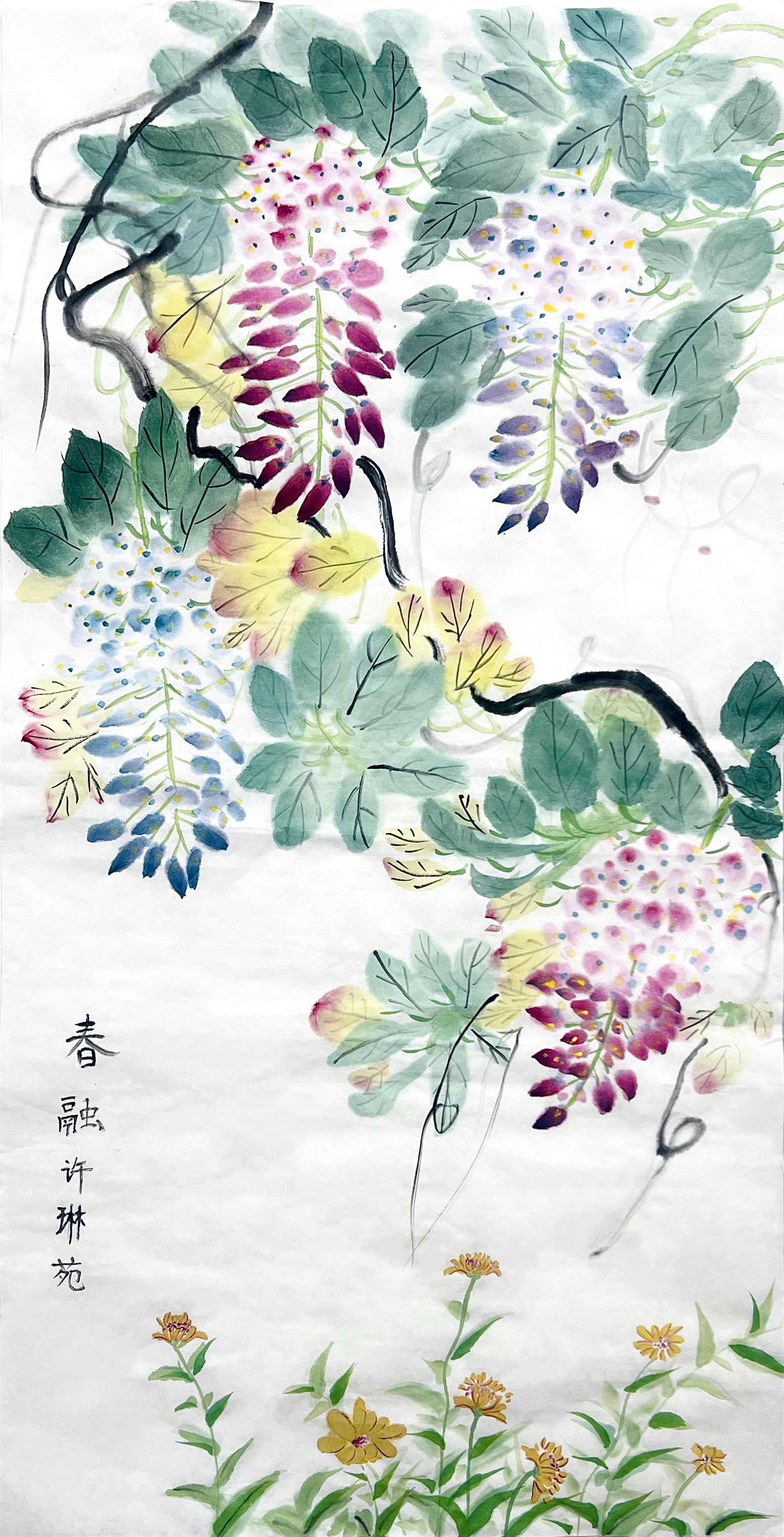 许琳苑