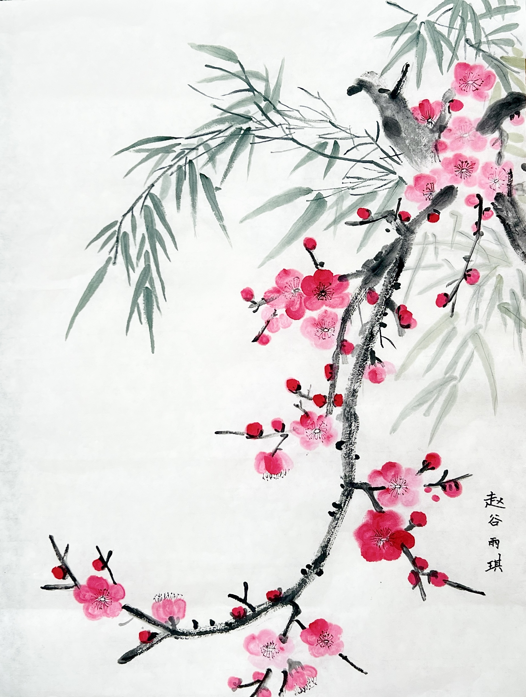 赵谷雨琪