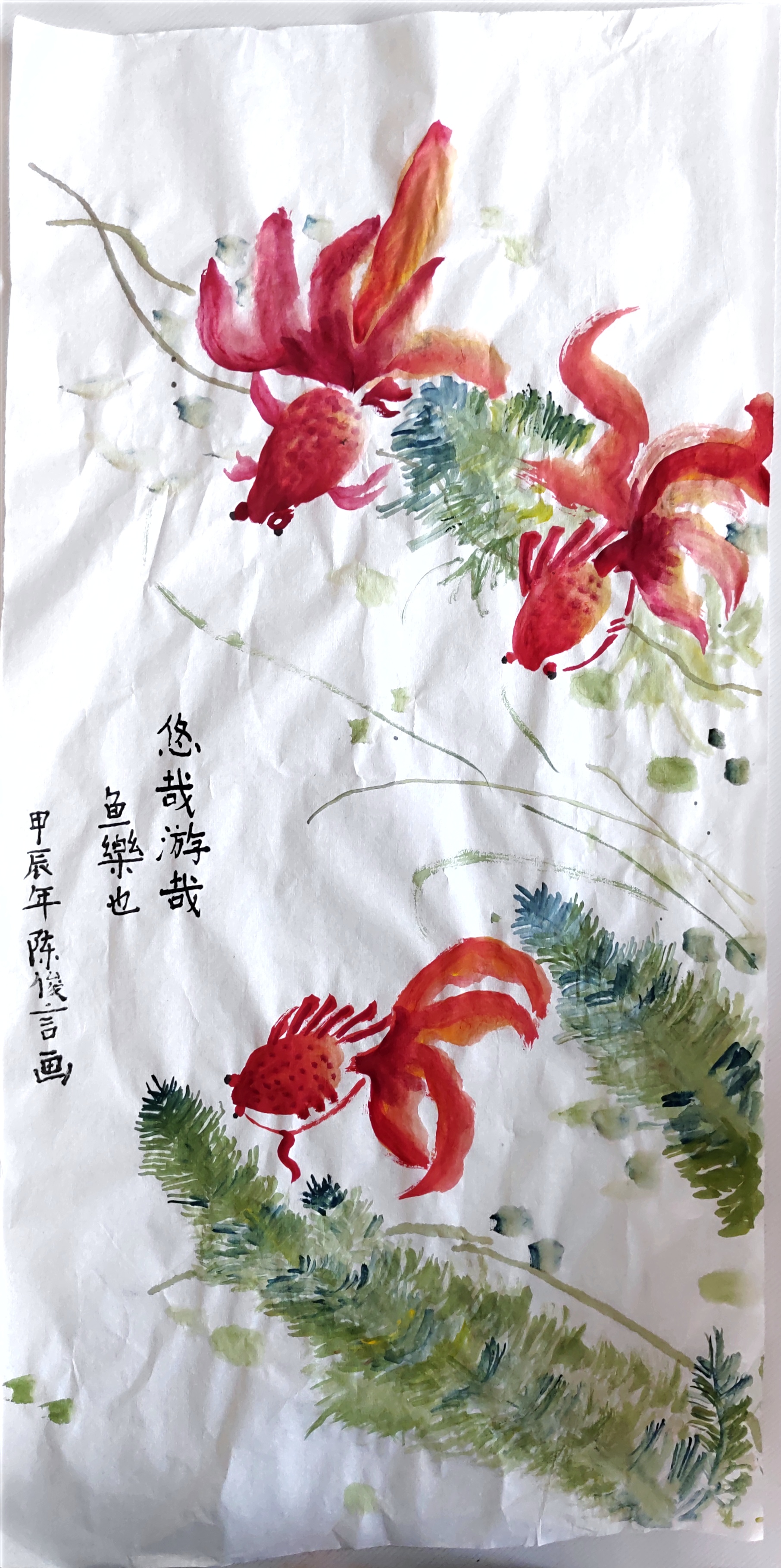 陈俊言